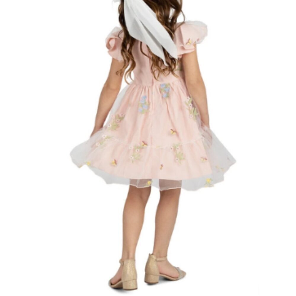 Rare Editions girls flutter sleeve sheer overlay floral embroidered dress 4T - Picture 2 of 8